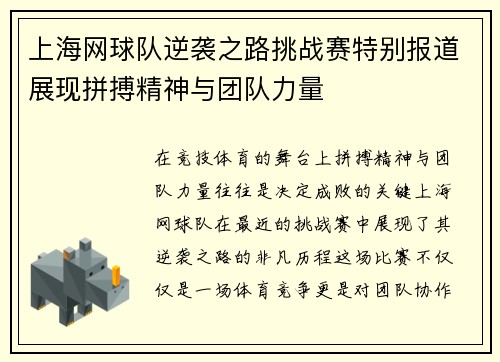 上海网球队逆袭之路挑战赛特别报道展现拼搏精神与团队力量
