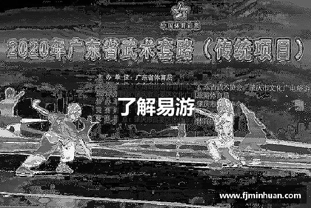 了解易游